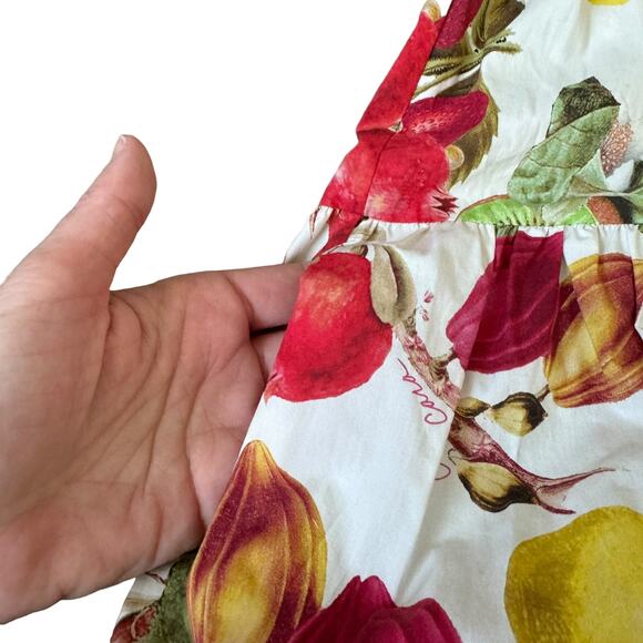 Cara Cara Sydney Dress Fruit Print Midi - Picture 6 of 11